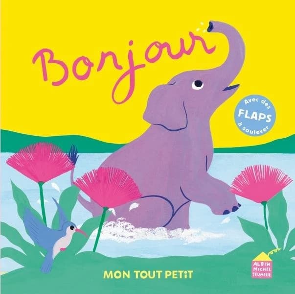 Bonjour : avec des flaps à soulever