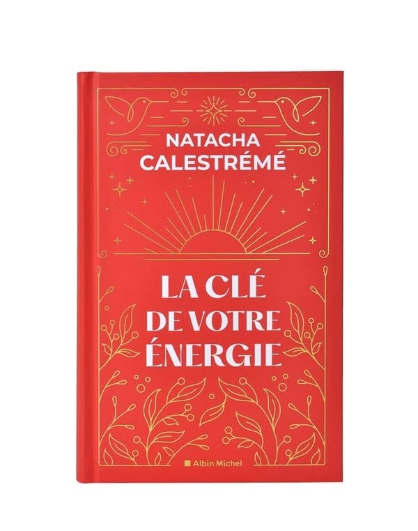 La clé de votre énergie : 22 protocoles pour vous libérer émotionnellement (Éd. collector) Natacha Calestrémé