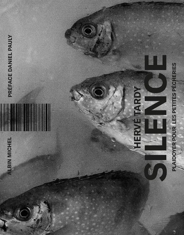 Silence : plaidoyer pour les petites pêcheries