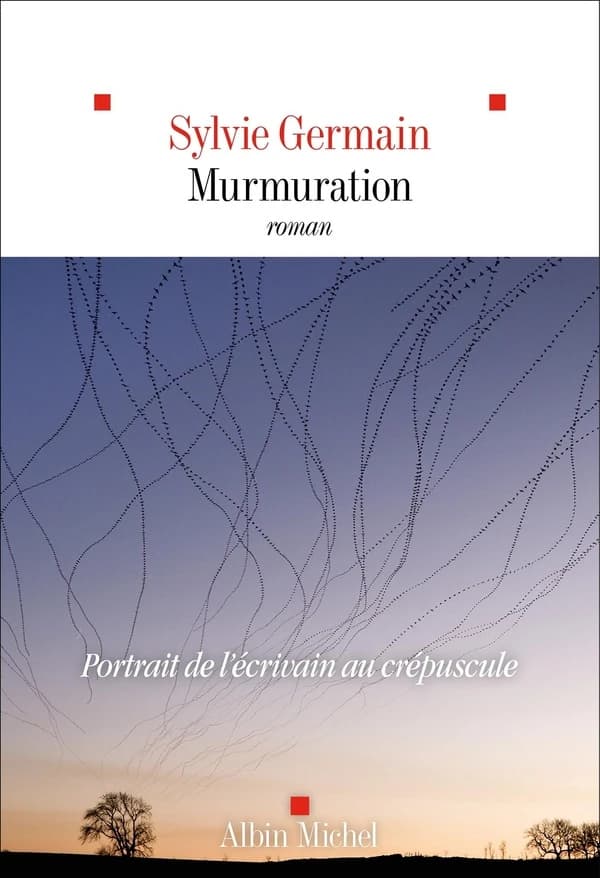 Murmuration : roman