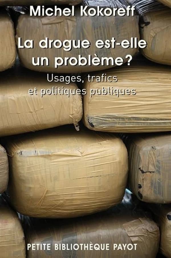 La drogue est-elle un problème? : usages, trafics et politiques publiques