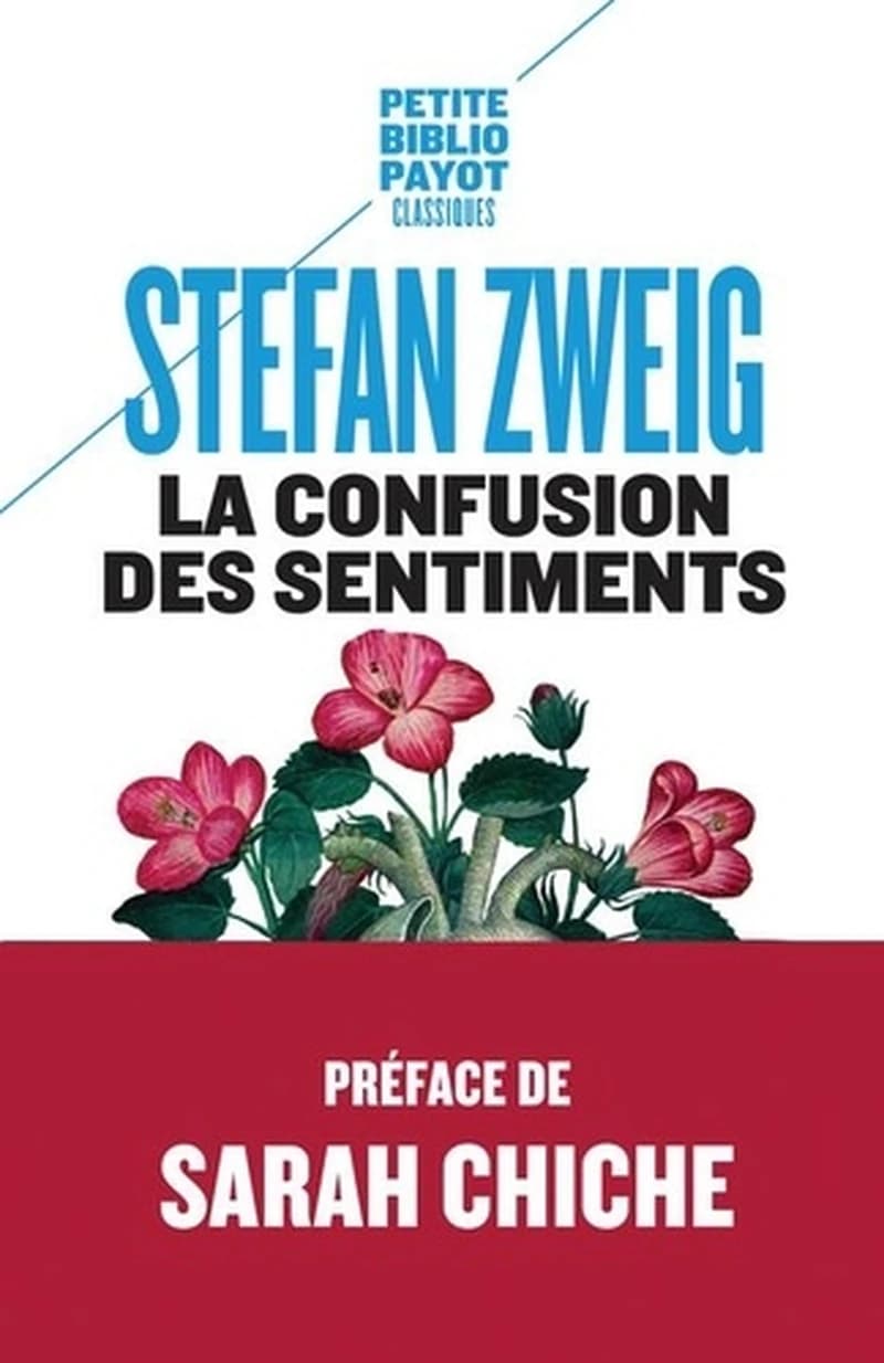 La confusion des sentiments : notes personnelles du conseiller R. von D.