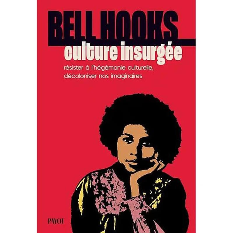 Culture insurgée : résister à l'hégémonie culturelle, décoloniser nos imaginaires