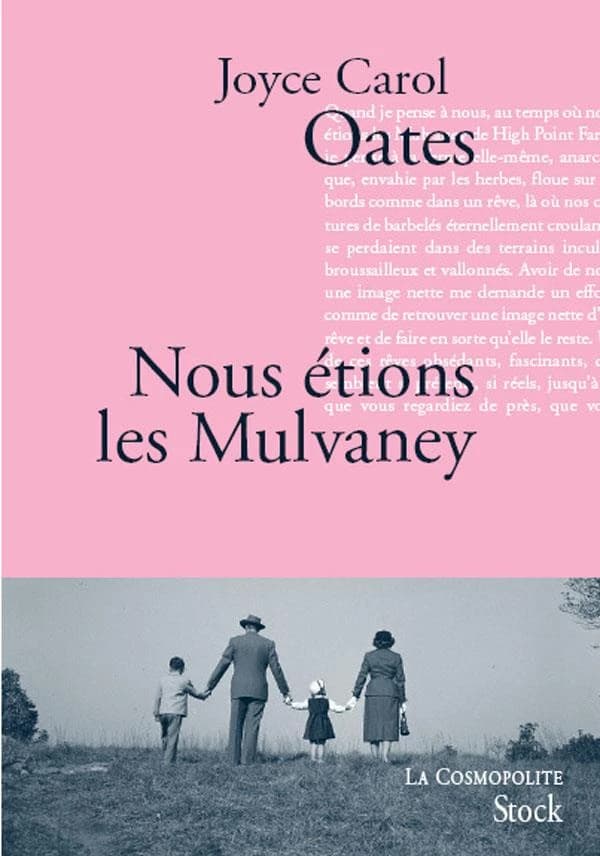 Nous étions les Mulvaney : roman