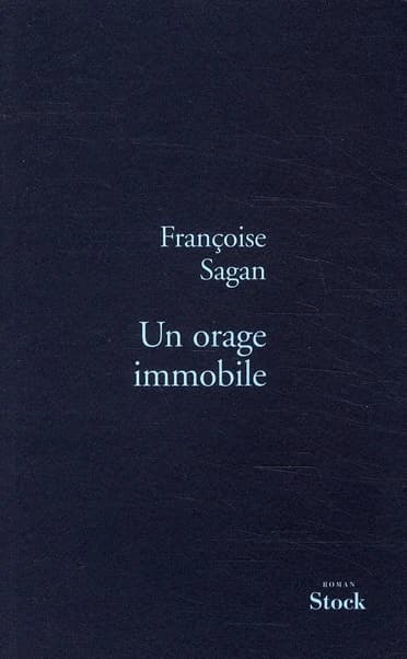 Un orage immobile : roman