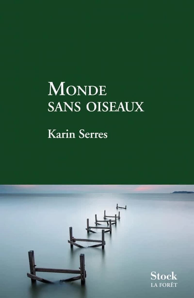 Monde sans oiseaux : roman