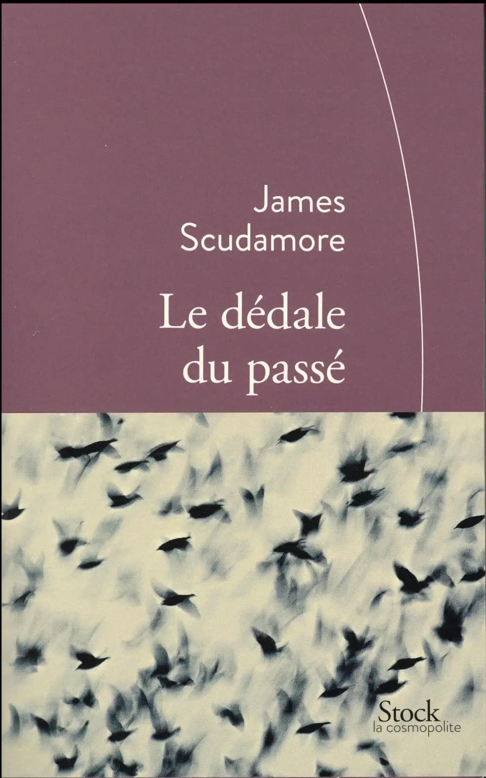 Le dédale du passé : roman
