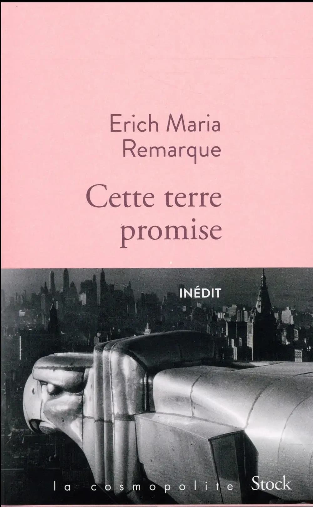 Cette terre promise : roman