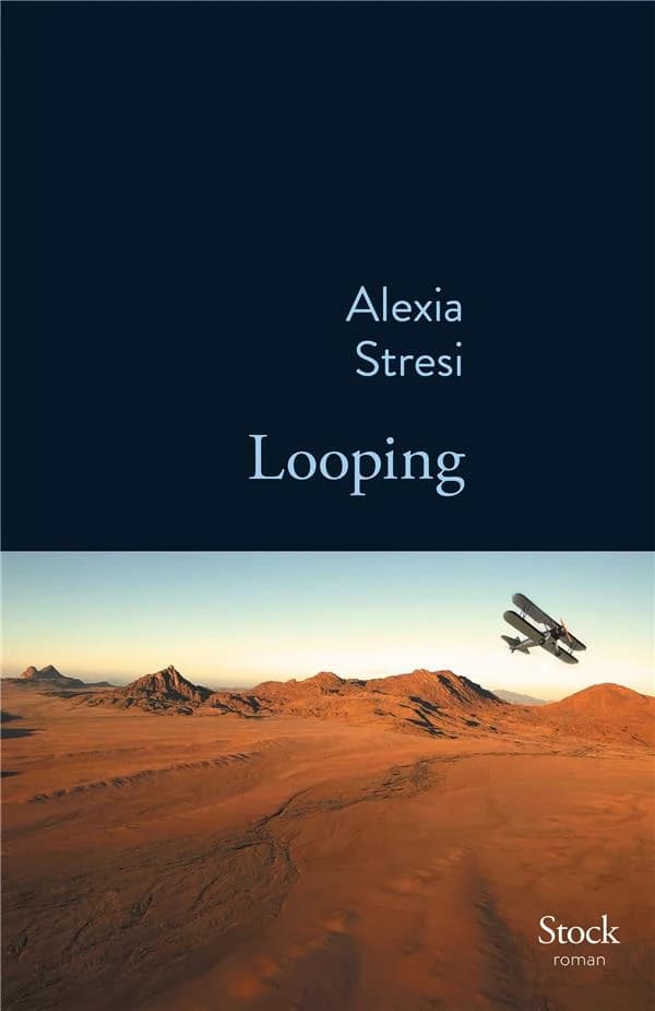 Looping : roman