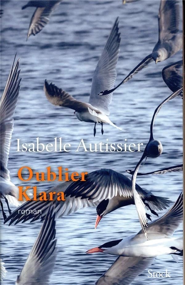 Oublier Klara : roman