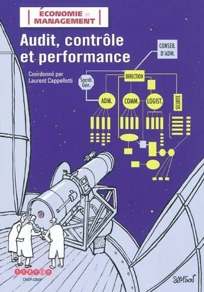 Audit, contrôle et performance