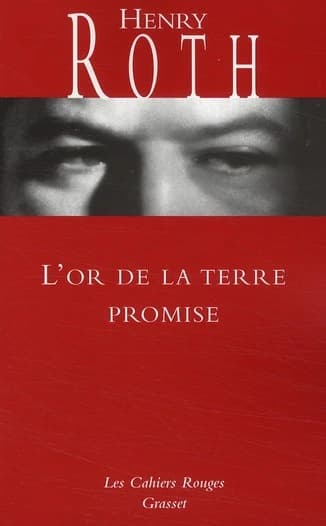 L'or de la terre promise : roman