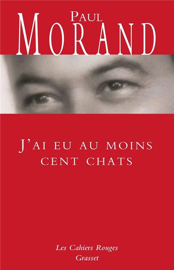 J'ai eu au moins cent chats