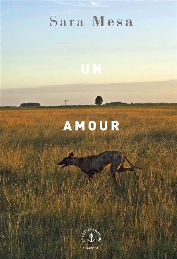 Un amour : roman