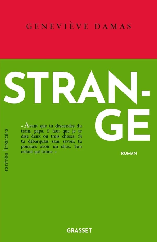 Strange : [roman]