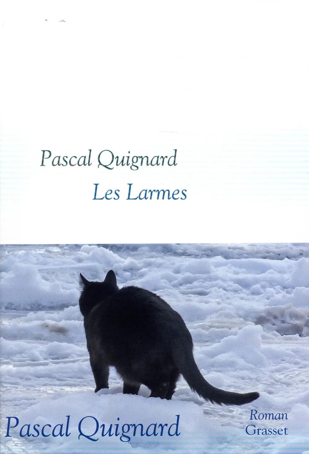 Les larmes : roman