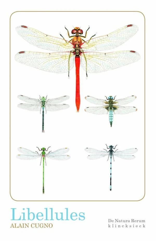 Libellules