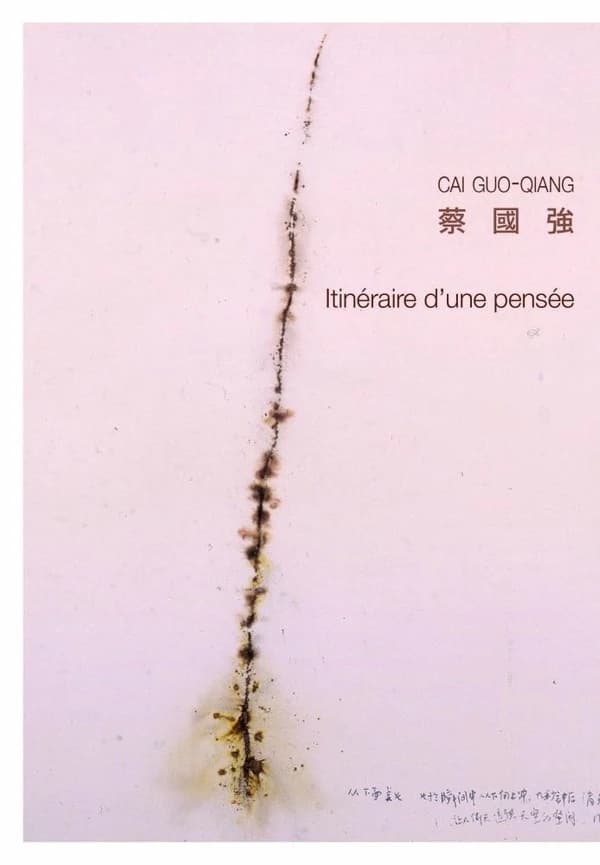 Cai Guo-Qiang : itinéraire d'une pensée