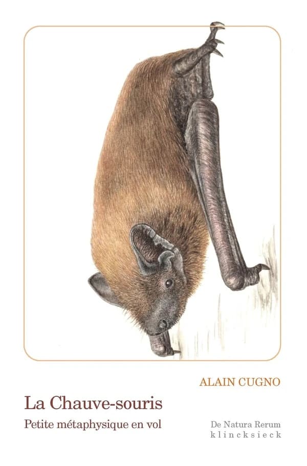 La Chauve-souris : Petite métaphysique en vol
