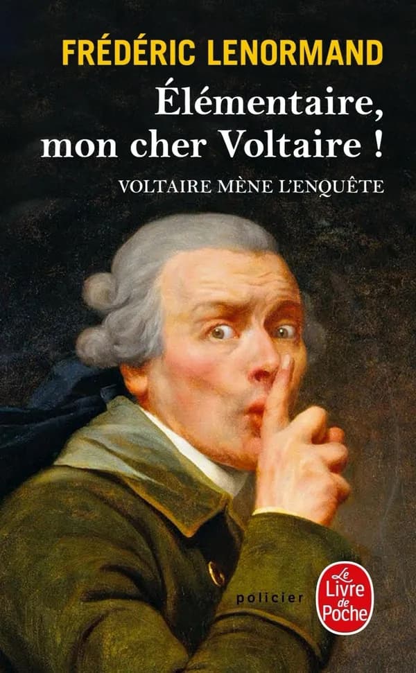 Élémentaire, mon cher Voltaire ! : roman
