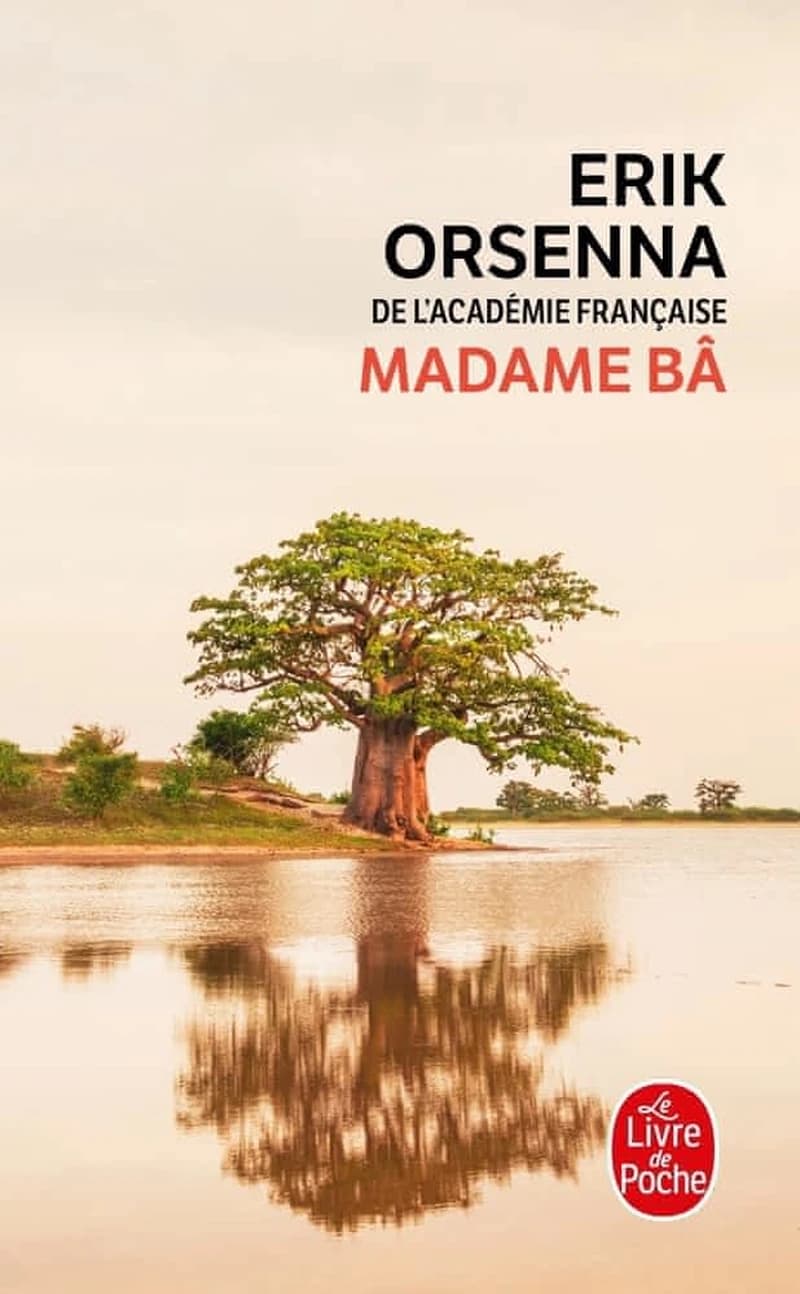 Madame Bâ : roman