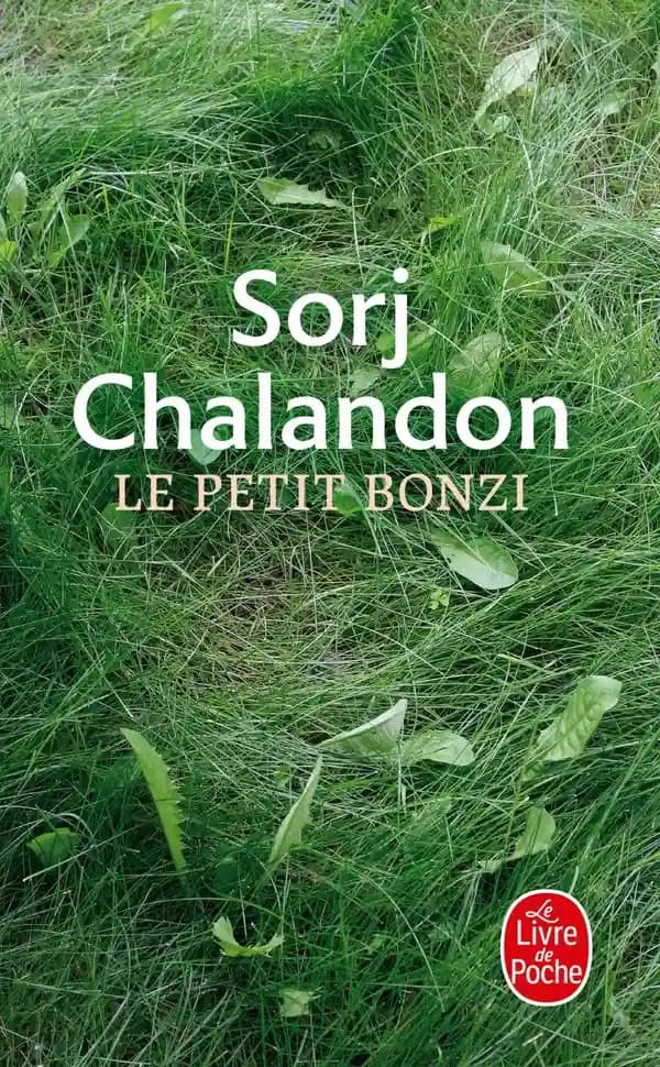 Le petit Bonzi