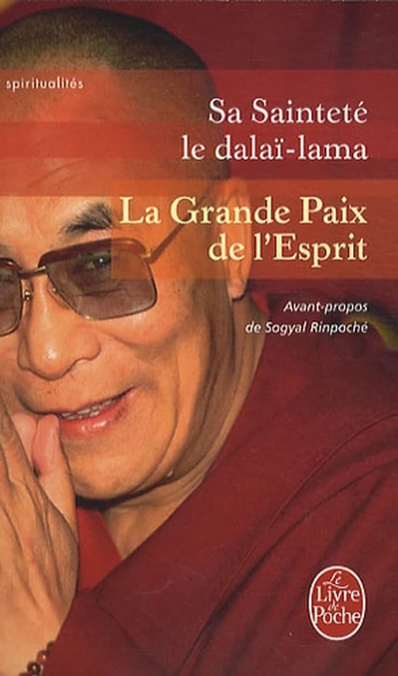 La grande paix de l'esprit : la vision de l'éveil dans la grande perfection