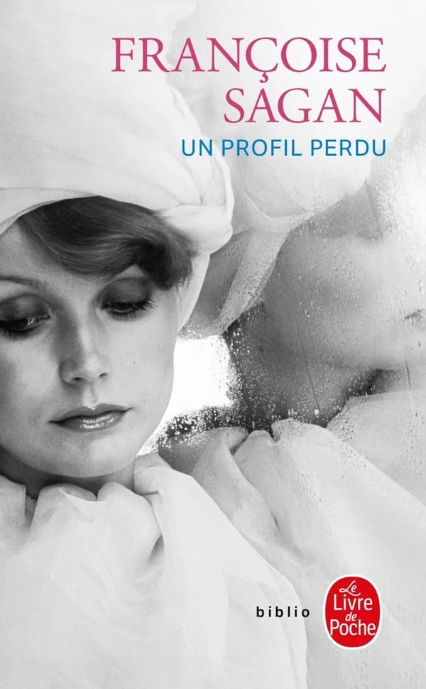 Un profil perdu : roman