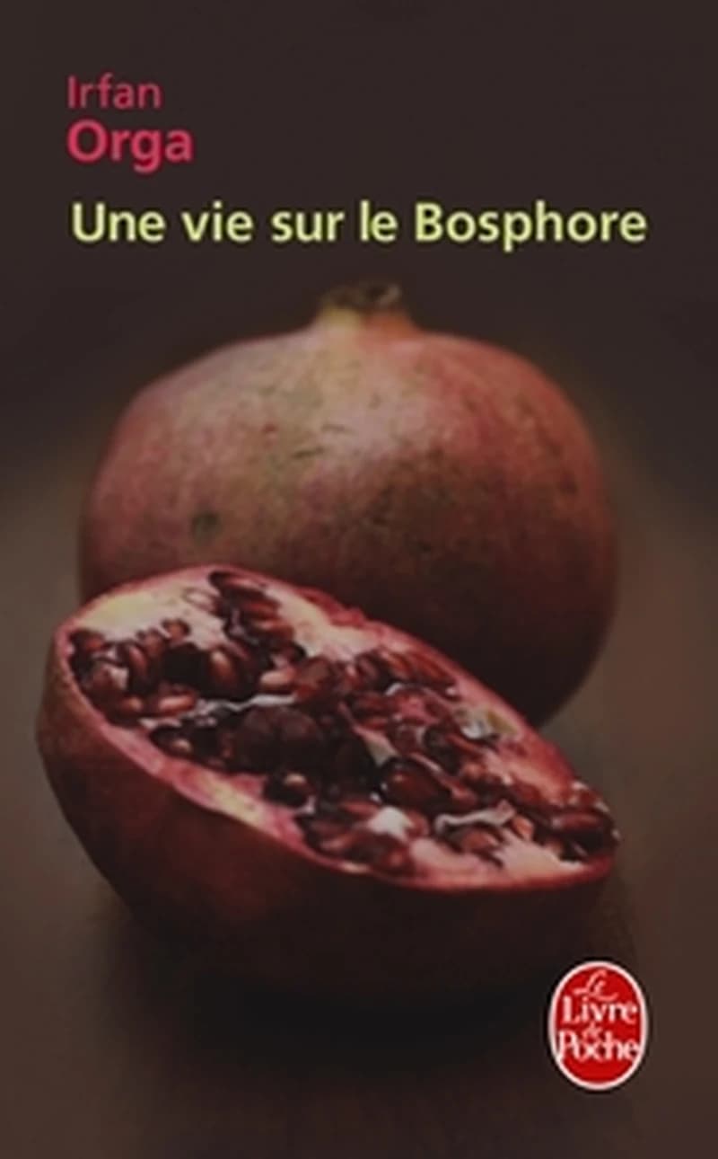 Une vie sur le Bosphore : mémoires