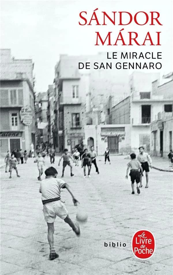 Le miracle de san Gennaro : roman