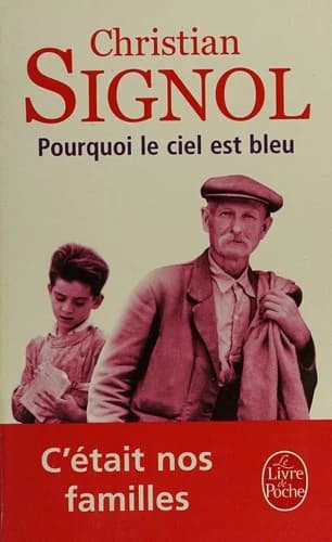 Pourquoi le ciel est bleu : roman
