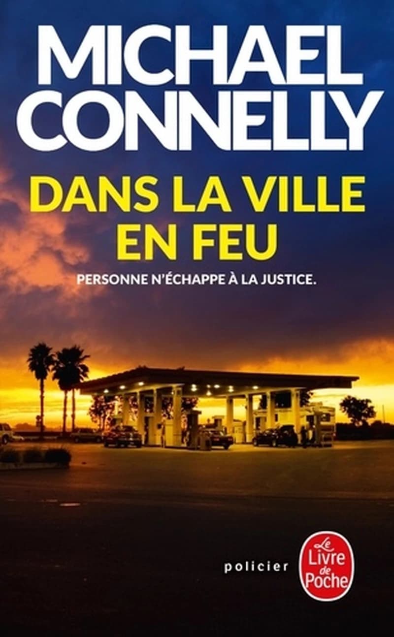 Dans la ville en feu : roman