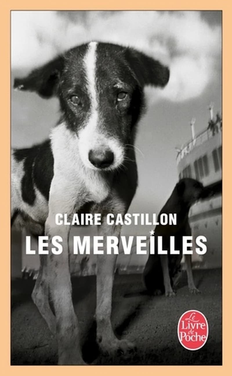 Les merveilles : roman