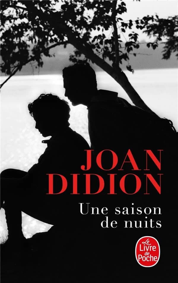 Une saison de nuits : roman