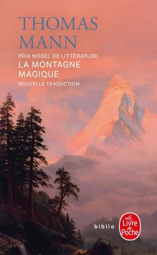 La montagne magique : roman