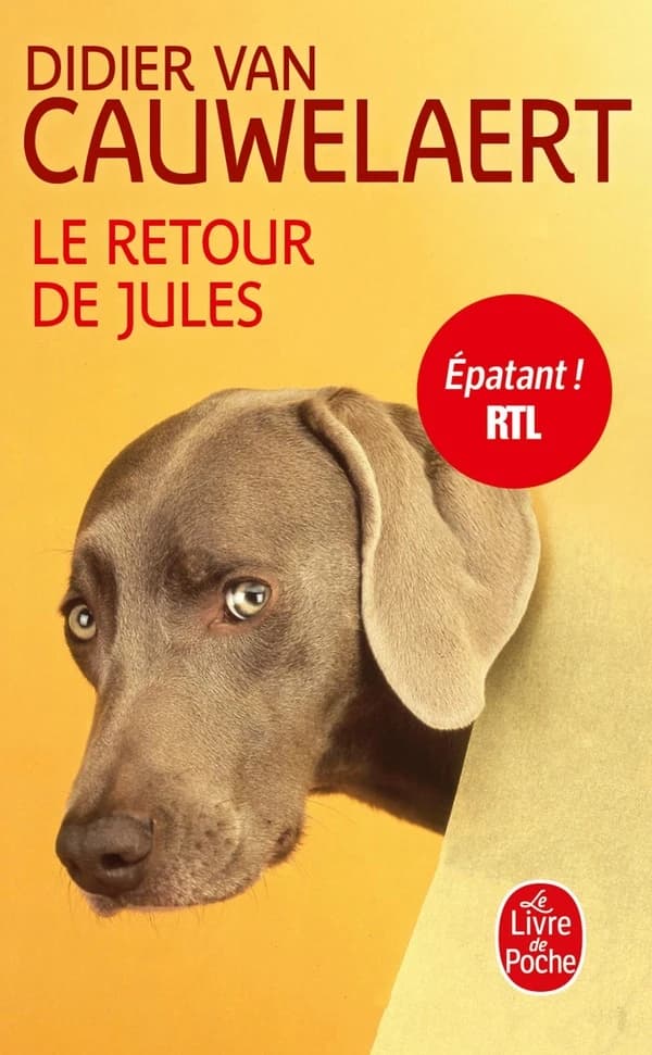 Le retour de Jules : roman