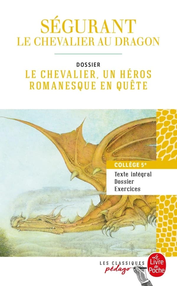 Ségurant, le chevalier au dragon : dossier thématique, le chevalier, un héros romanesque en quête