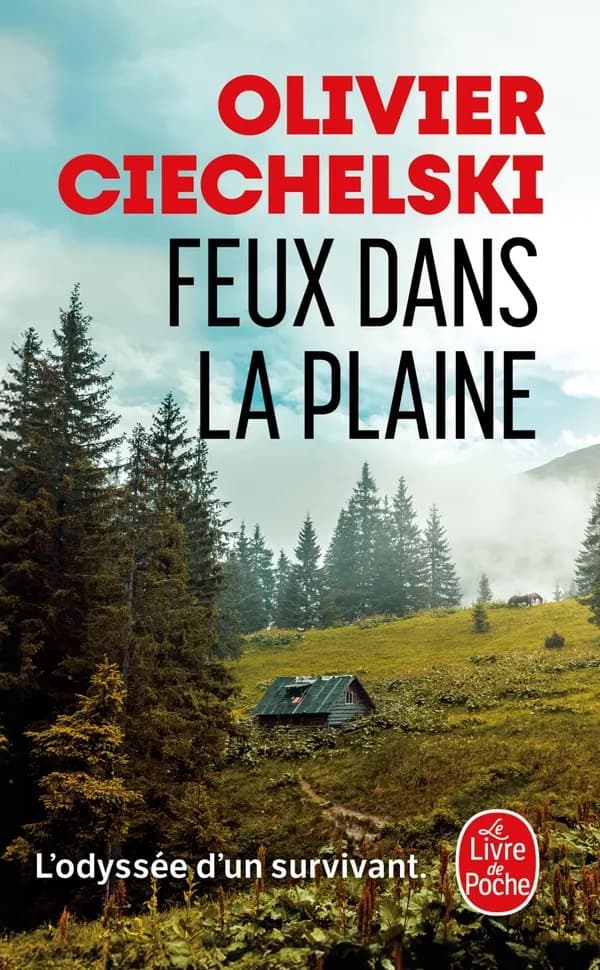 Feux dans la plaine : roman