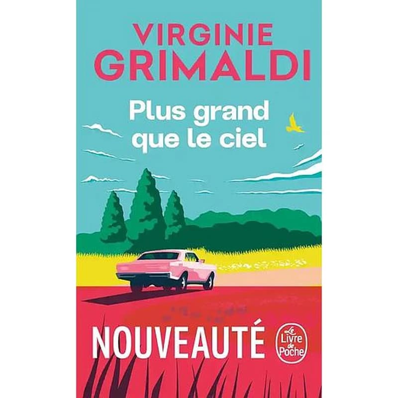Plus grand que le ciel : roman