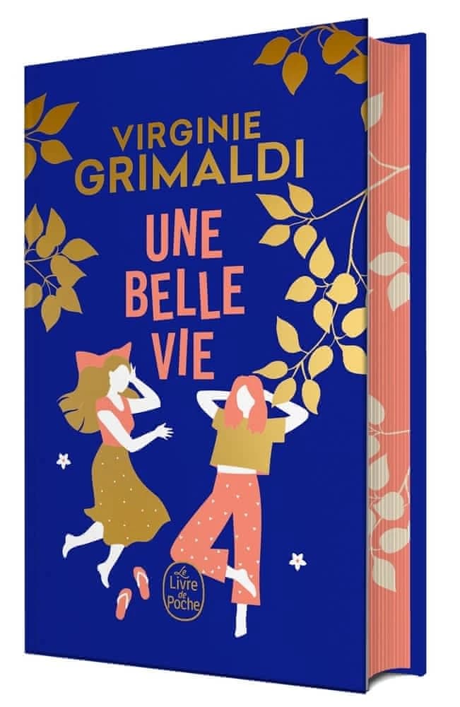 Une belle vie : roman
