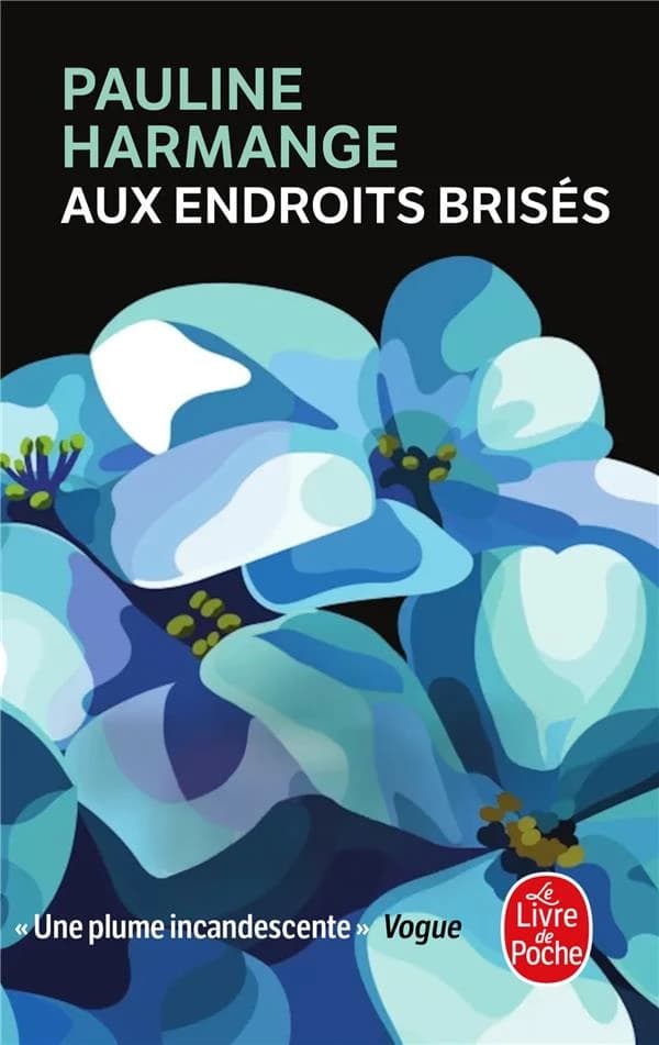 Aux endroits brisés : roman