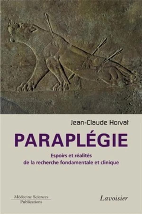 Paraplégie : espoirs et réalités de la recherche fondamentale et clinique