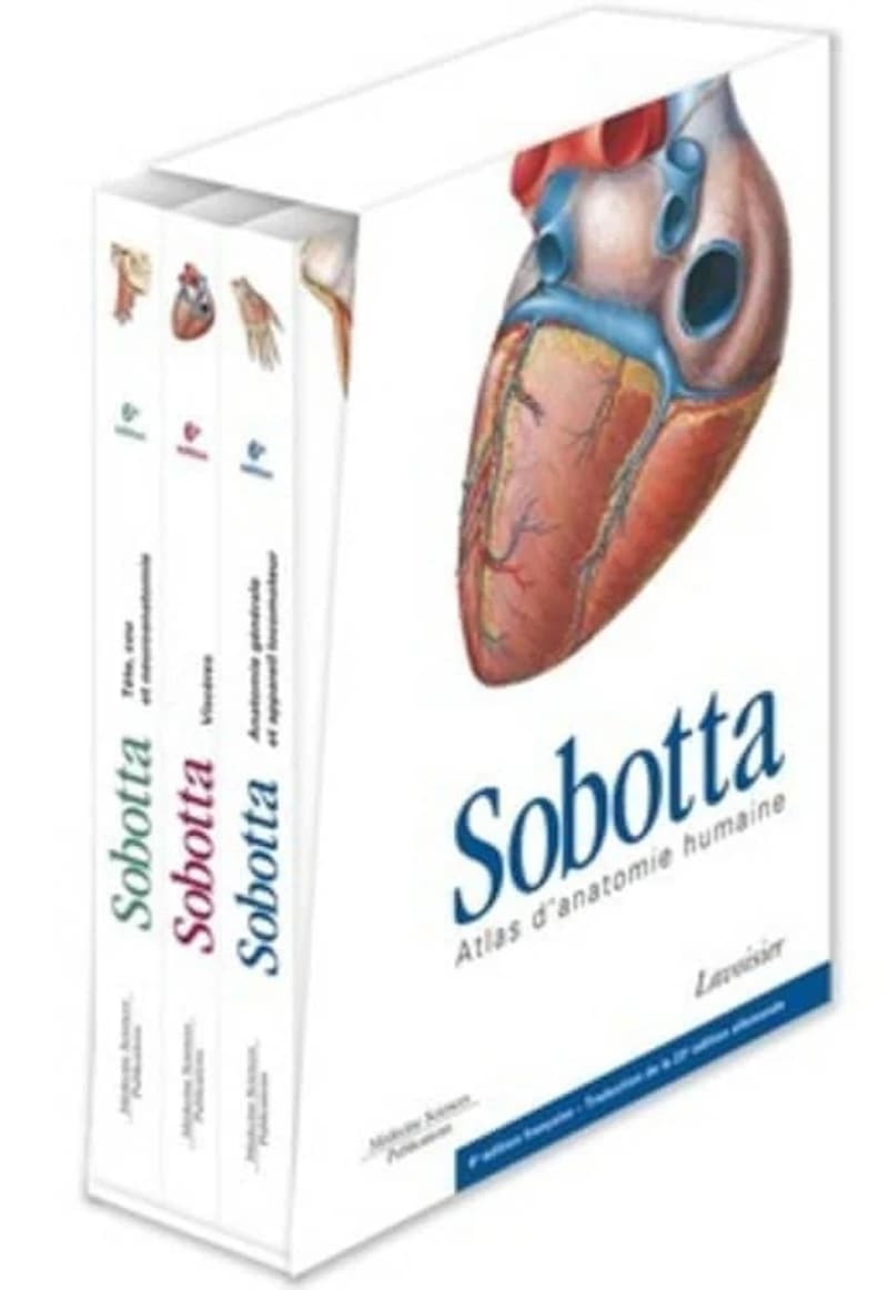 Atlas d'anatomie humaine (6e éd. française) Sobotta ; traduction de la 23e édition allemande coordonnée par F. Paulsen et J. Waschke
