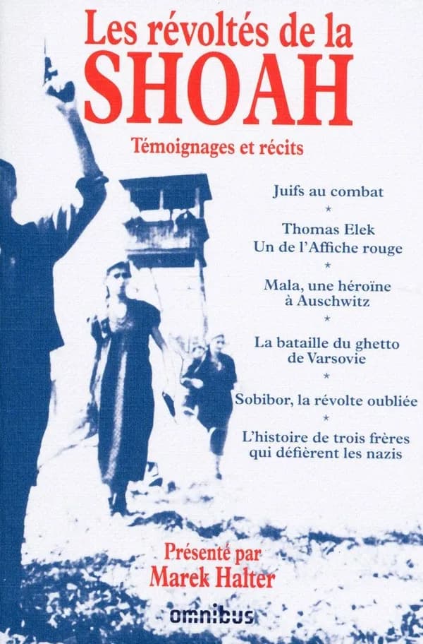 Les révoltés de la Shoah : témoignages et récits