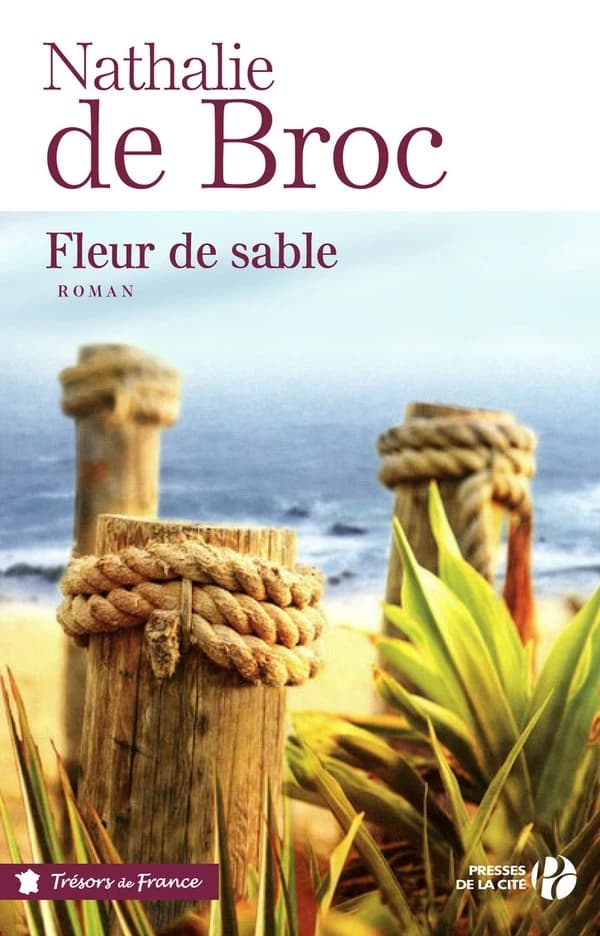 Fleur de sable : roman