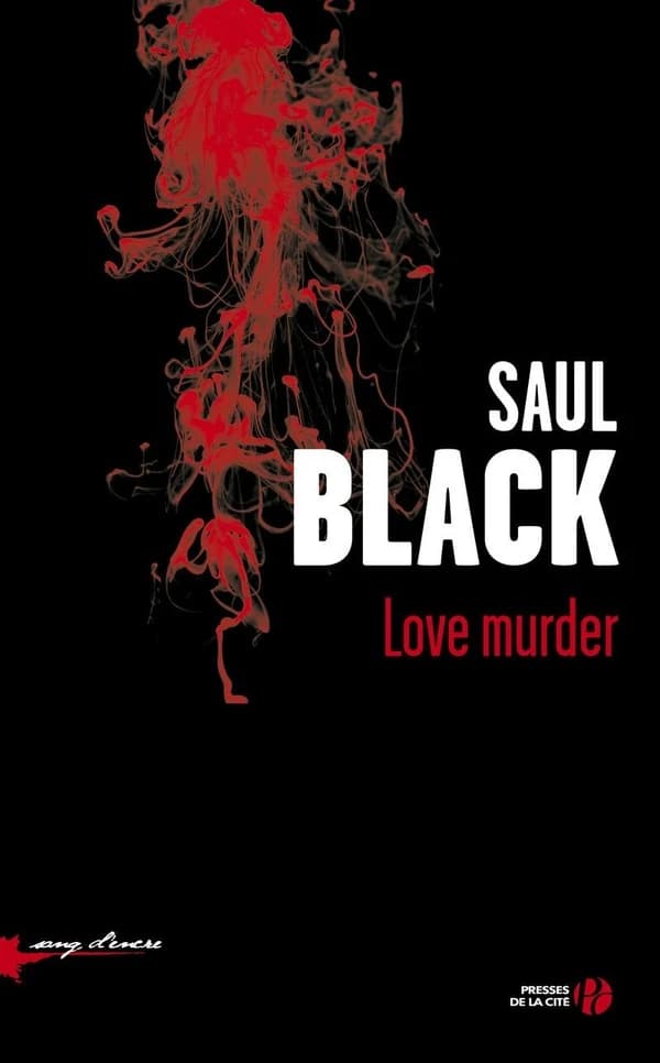 Love murder : roman