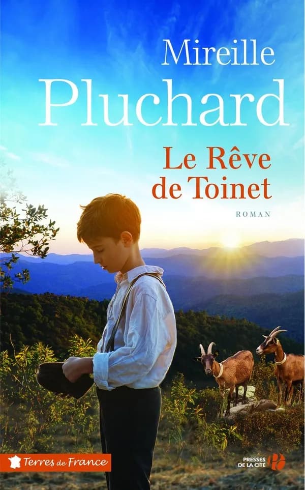 Le rêve de Toinet : roman
