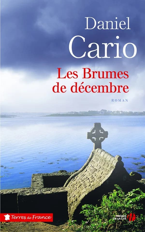 Les brumes de décembre : roman