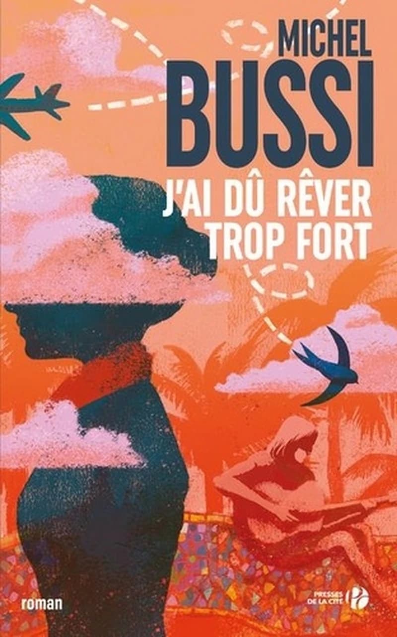 J'ai dû rêver trop fort : roman