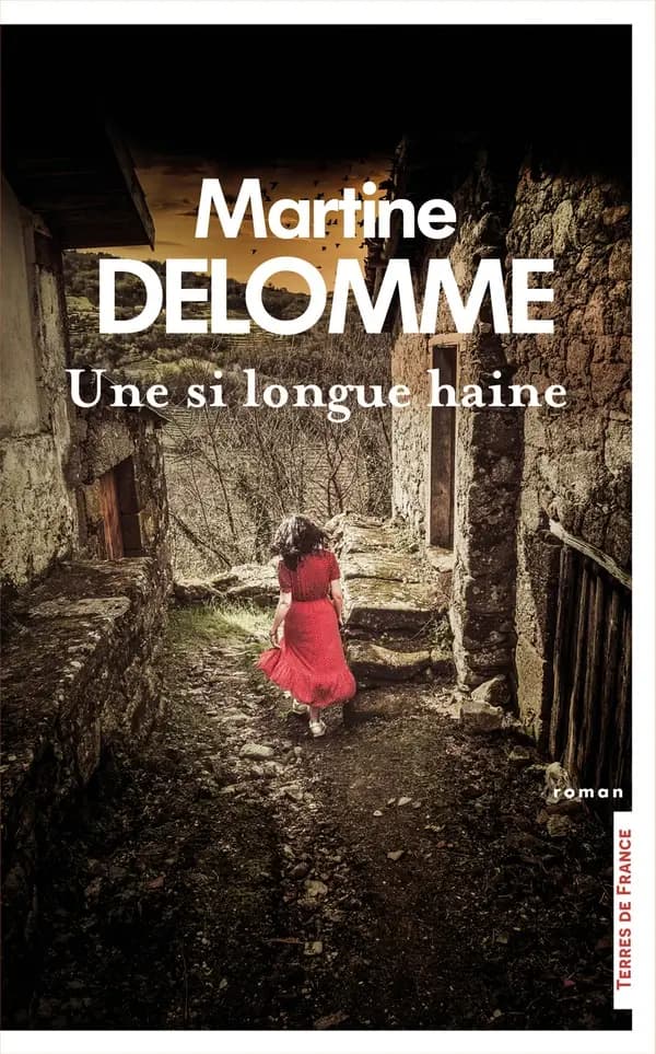 Une si longue haine : roman
